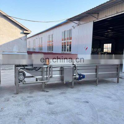 Air Bubble Leafy Automatic Washer Fruit And Vegetable Clean Production Line Vegetable Wash Machine Industry photo-5