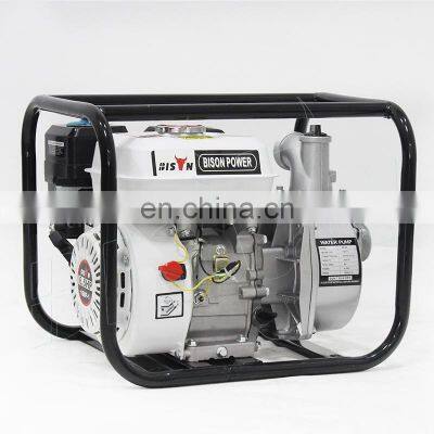 Bison China 2 Inch 1 Cylinder Gas Engine Trash Water Pump