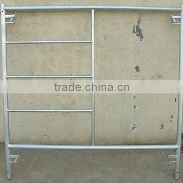 Ladder Type Frame Scaffolding