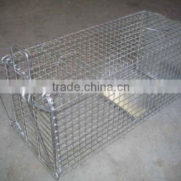 fox trap cage