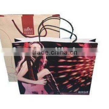 OEM paper shopping bag,promotional gift bag