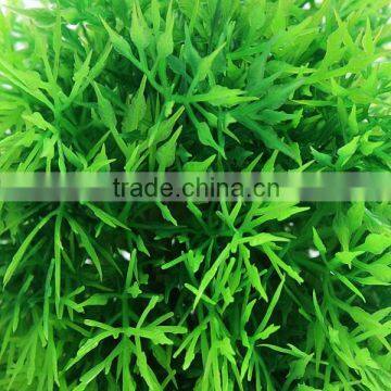 Hot Sale 2015 New Arrival Beautiful Aquarium Plastic Green Seaweed Moss Ball Decoration For Fish Tank photo-5