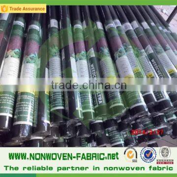 Breathable Eco-friendly White Agriculture PP Spunbond Nonwoven/Small roll packaging agricultural non woven fabric                        
                                                                                Supplier's Choice