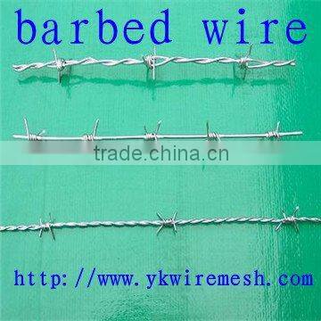 barbed iron wire