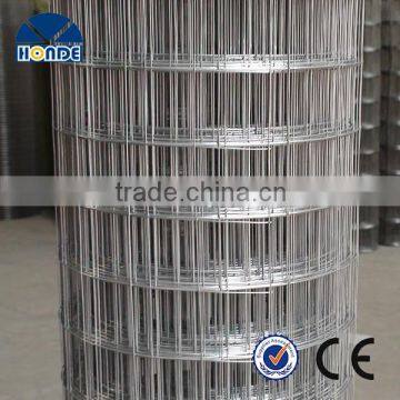 High Quality Widely Used Wholesale Bird Cage Welded Wire Mesh Roll