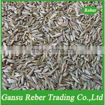 Cumin Seeds