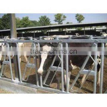 Hot sale wholesale Useful farming cattle headlocks,cow headlocks farming