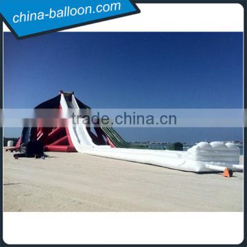 Entable Wonderful Massive Inflatable Water Slide For Kids