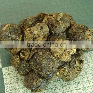 best price of raw material propolis from china