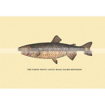 The Tahoe Trout 12x18 Giclee on canvas