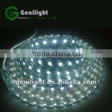 SMD 5050 12V LED Strip