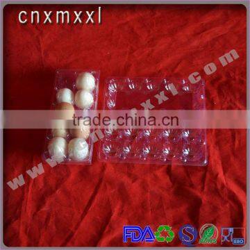 New Arrival Plastic Clear Container for Egg Packaging in Custom Design