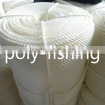 Twisted Polyester Rope,PET Rope with good price