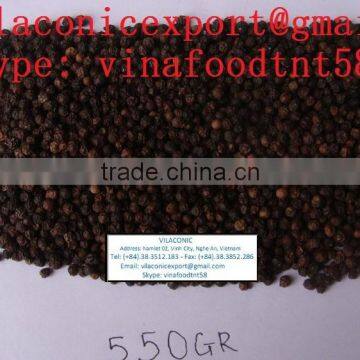 vilaconicexport@gmail.com Vietnam Black pepper