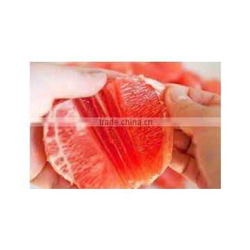 New sweet pink fresh pomelo 2014