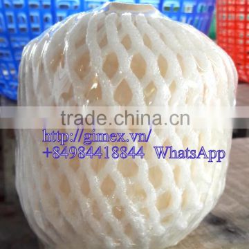 VIETNAM FRESH YOUNG COCONUT / +84984418844 whatsapp