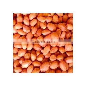 Groundnut kernel