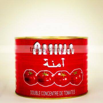 Bright Red Color Good Quality Canned Tomato Paste/ketchup Halal Factory Chinese Manfacturer photo-3