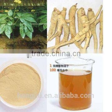 American Ginseng Extract