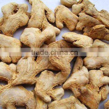 Dried Giner Whole Peeled Dehydrated Ginger