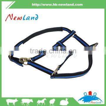 Padded Horse Riding Halter Horsemanship blue halted suede cowhide horse pp fabric metal accessories