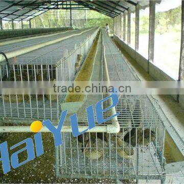 Automatic Quail Cage