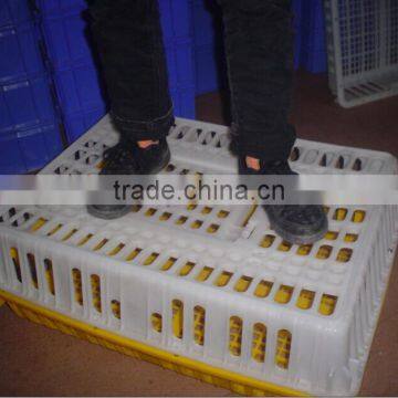 Professional automatic chicken feeding machine/chicken poultry farm equipment/chicken