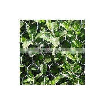 garden mesh netting (factory)