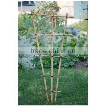 Beautiful Strong Decorative Bamboo Trellis