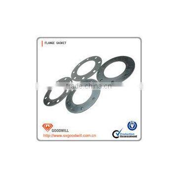 Pipe Flange Fitting Gasket photo-3