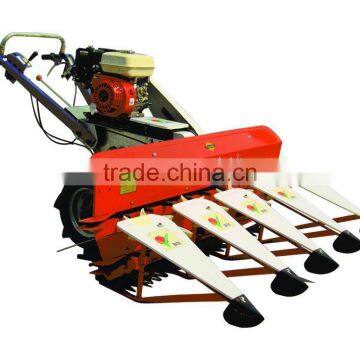 Self-propelled walking behind wheat harvester in Harvesters