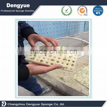 Agricultural Hydroponic Grow Systems foam tray seed