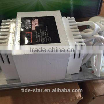 Hydroponic Grow Plant 600w Open Ballast Magnetic Ballast photo-3