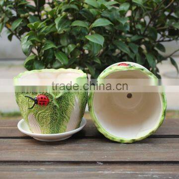 Attractive Cabbage Shape Ceramic Small Decorative Planters photo-2