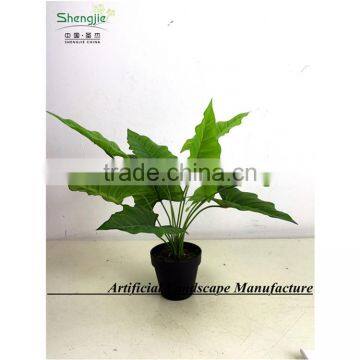 SAS201603 China Supplier Artificial Greenery Plant,Indoor Fake Ornamental Foliage Plant photo-4