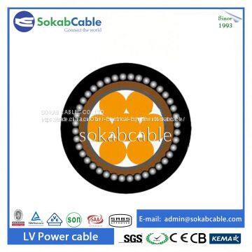 Low Voltage Steel Wire Armored Power Cable photo-3