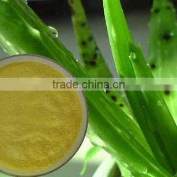 Aloe vera extract