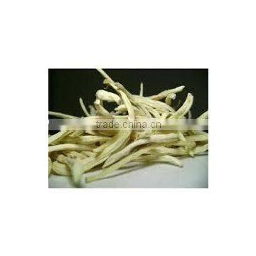 Chlorophytum Borivilianum Extract photo-4