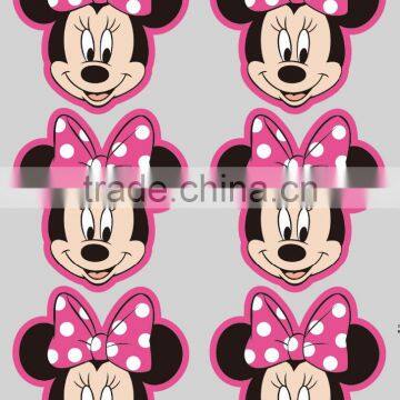 Custom Design Plastisol Heat Transfer/heat Transfer Sticker Label for Garment photo-6