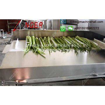 Vegetable Root Cutting Machine photo-4