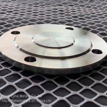 Pure or alloy Titanium Forged Flange ASTM B16.5 or EN1092-1