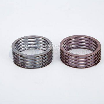 Wave Springs photo-2