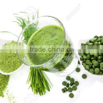 Healthy Spirulina Powder for Sale photo-3