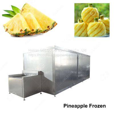 Frozen Machine Equipment Fruit/Frozen Pineapple Machinery