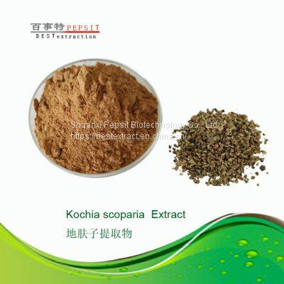 Кохия простяковатая