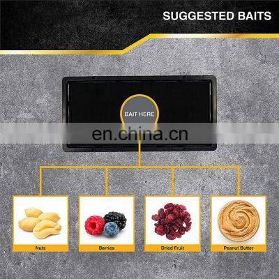 High Quality Wholesale Plastic Tray Mouse Rat Glue Trap Customize Sticky Board Mouse Glue TrapHot Sale Products 1 Pack/2 Traps