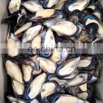 Frozen Half Shell Mussels Half Shell Mussel Meat Mytilus Edulis