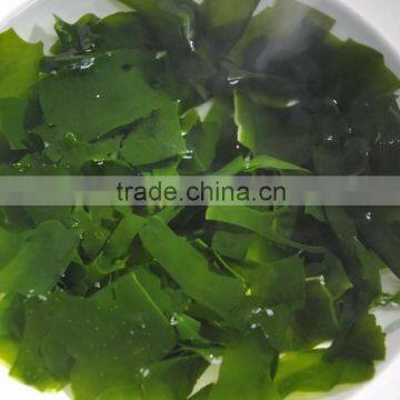Chinese Dried Cut Wakame /Seaweed/Sea Mustard Soup Mate photo-5