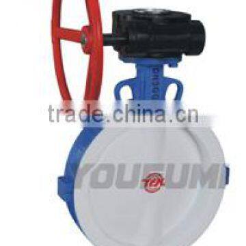 PTFE Lined Wafer Worm Gear Butterfly Valve