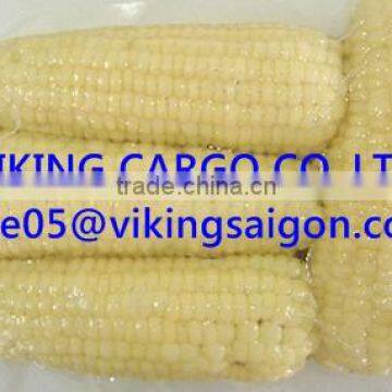 BEST PRICE_FROZEN WHITE CORN_FROM VIETNAM !